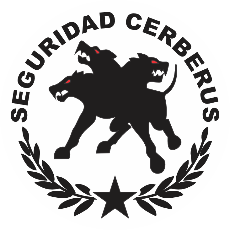 SEGURIDAD CERBERUS